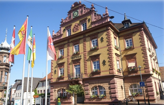 Herbolzheim Baugebiet