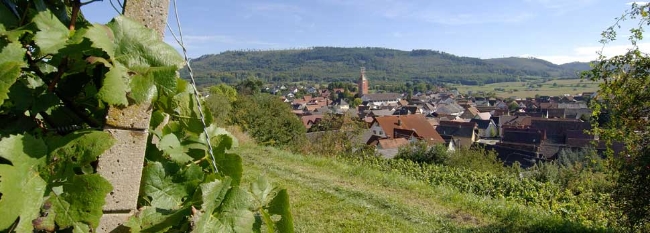 Friesenheim Baugebiet