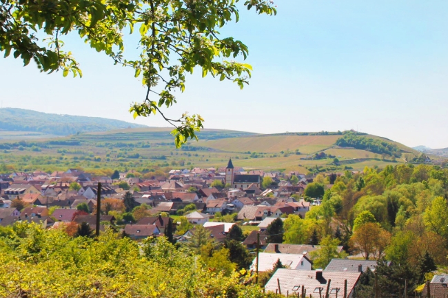 Sasbach am Kaiserstuhl Baugebiet