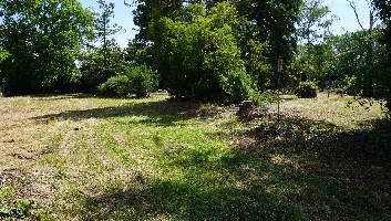 DSC03607.JPG