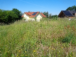 Aussicht Westen.JPG