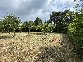 IMG_9192.JPG