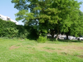 Ansicht Grundstück neben Baufenster.JPG