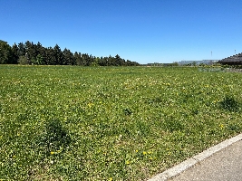 Foto 2.jpg