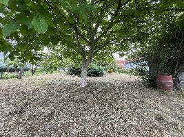 IMG_9180.JPG