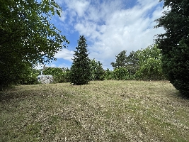 IMG_9219.JPG