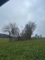 Bild 8.jpg