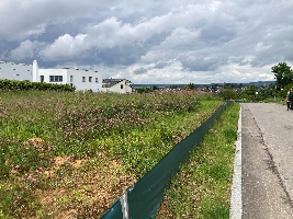 Blick in die Erschließungsstraße mit den vier Bauplätzen