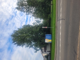 06-Fotoaufnahme_Baugrundstück_Martinusweg-2025-09-17 -  - nicht freigegeben - 18.09.2025.JPG