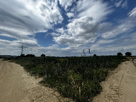 image00007.jpeg