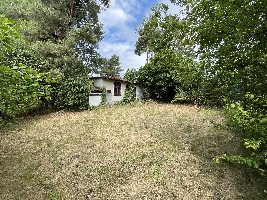IMG_9205.JPG