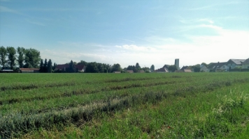 Blick von Nordosten mit der Bestandsbebauung im Hintergrund.jpg
