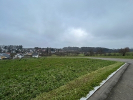 Bild 6.jpg