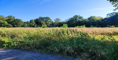 Bilder Baugebiet.jpg