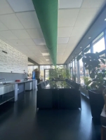 Halle_Weststadt_Ausstellungsraumt.PNG