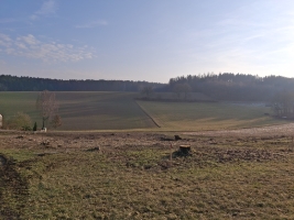 Foto Fl&#228;che Baugebiet II