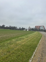 Bild 3.jpg