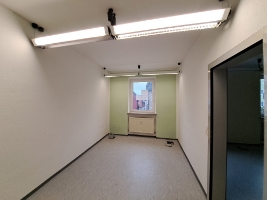 Foto10.jpg