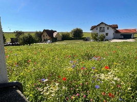 Blick von der Kirche auf das Baugrundstück.jpg