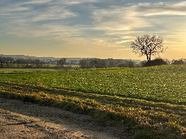 Aussicht nach Westen3.jpg