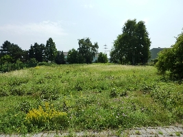 Foto 1.jpg