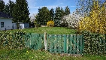 DSC03429.JPG