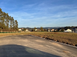 Hölzle 4.jpg
