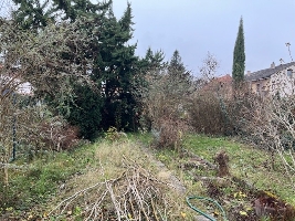 Garten.jpg