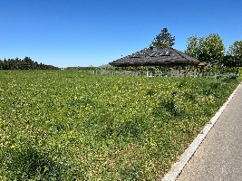 Foto 1.jpg