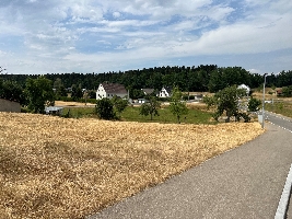 Flst. 933, Gemarkung Hausen.jpg