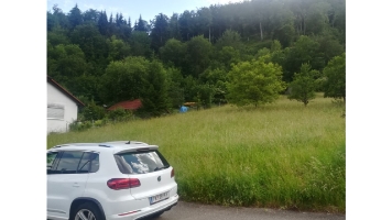 Flst. 309.8_Kaiseringen_Bild 2.jpg