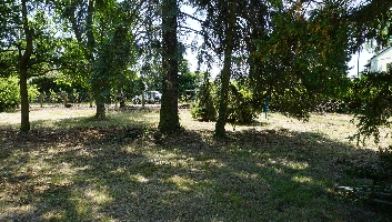 DSC03611.JPG
