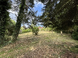 IMG_9202.JPG
