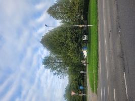 04-Fotoaufnahme_Baugrundstück_Martinusweg-2025-09-17 -  - nicht freigegeben - 18.09.2025.JPG