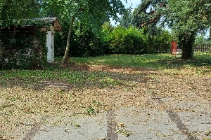 IMG-20260619-WA0007x.jpg