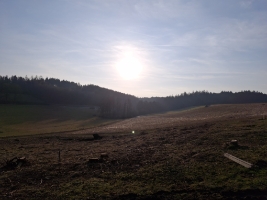 Foto Fl&#228;che Baugebiet