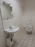 Foto3.jpg