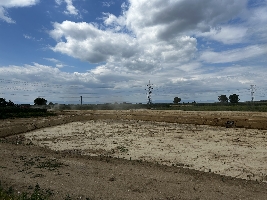 image00015.jpeg