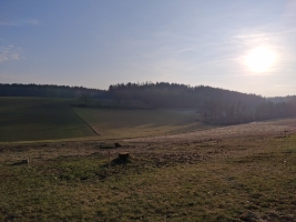Foto Fl&#228;che Baugebiet III