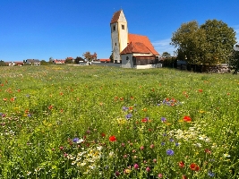 Bild mit Blick über das Grundstück Richtung Kirche.jpg