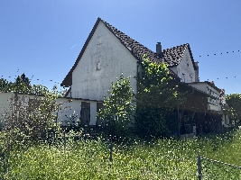 Schlossgartenstraße 9 Gartenansicht