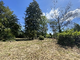 IMG_9254.JPG