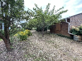 IMG_9170.JPG