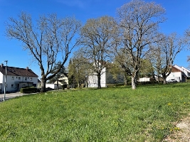 image3.jpeg