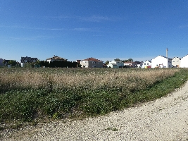 P1010247.JPG