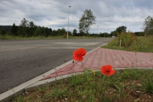 Baugebiet Juni 2024