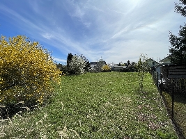 IMG_8278.JPG