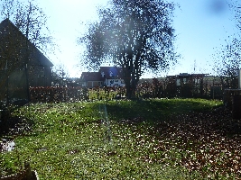 P1080794.JPG