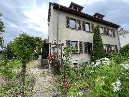 IMG_8881.JPG