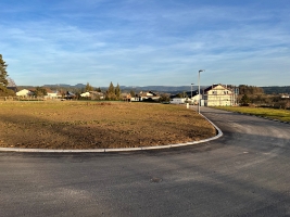 Hölzle 2.jpg